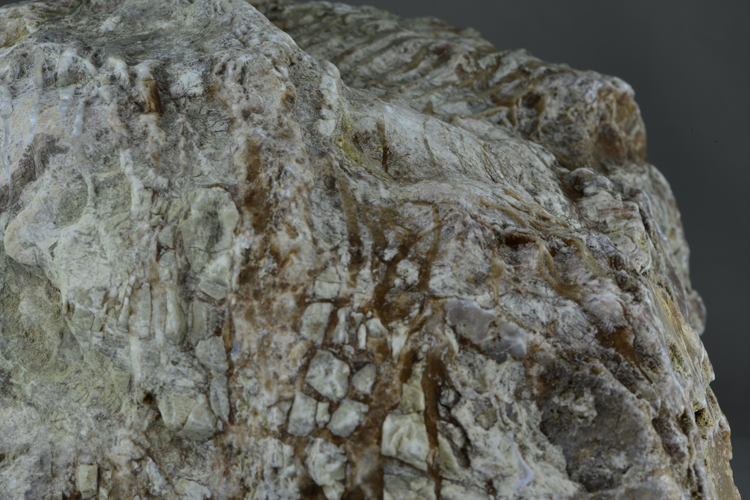 札幌地質探究部（岩石や鉱物が創りだす芸術世界への旅）