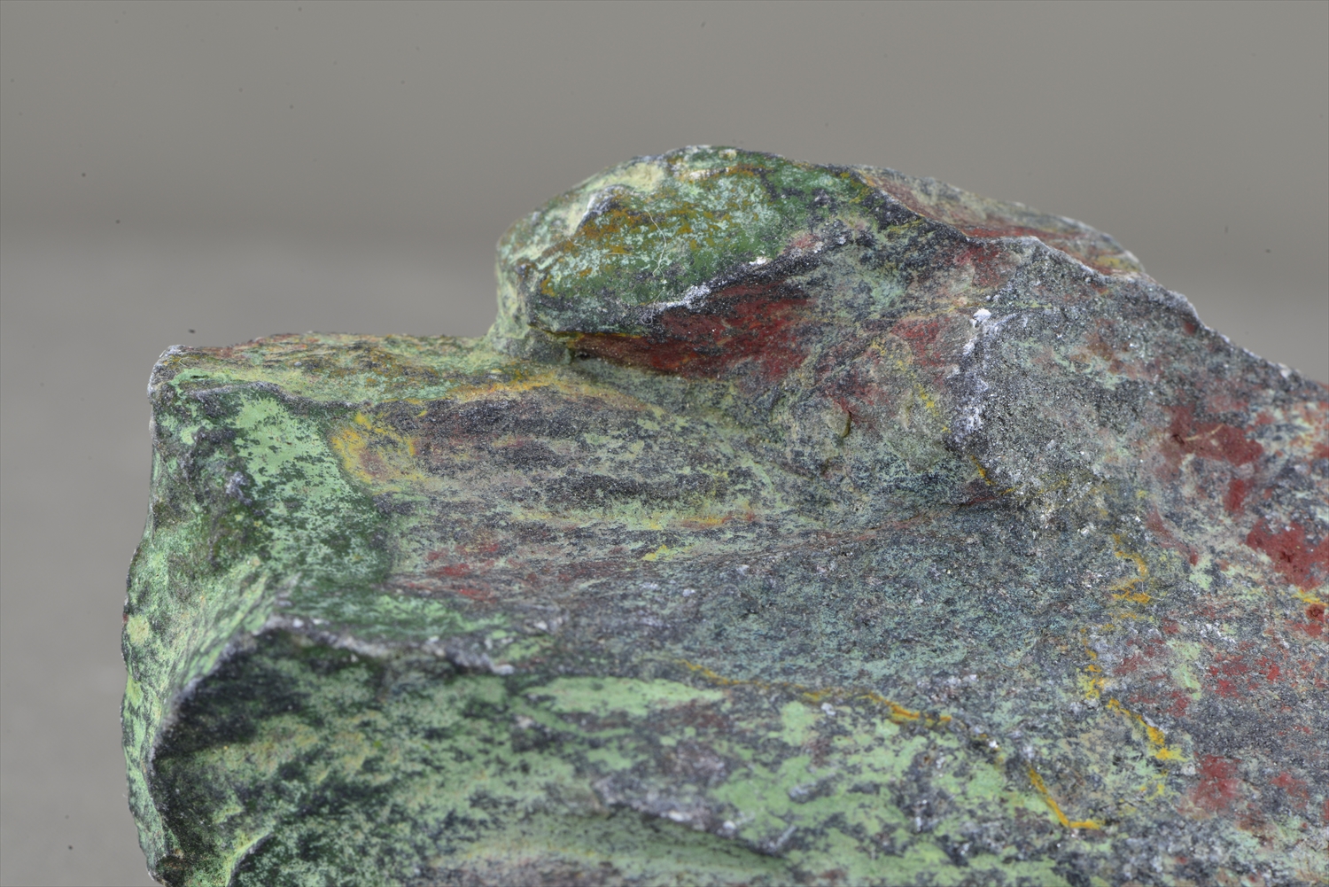 札幌地質探究部（岩石や鉱物が創りだす芸術世界への旅）