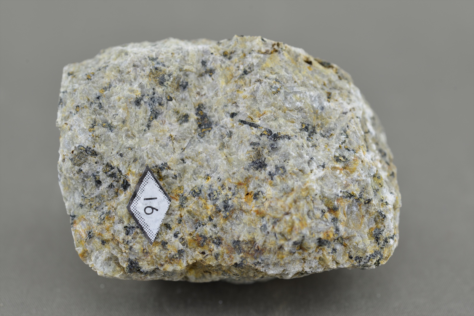 札幌地質探究部（岩石や鉱物が創りだす芸術世界への旅）