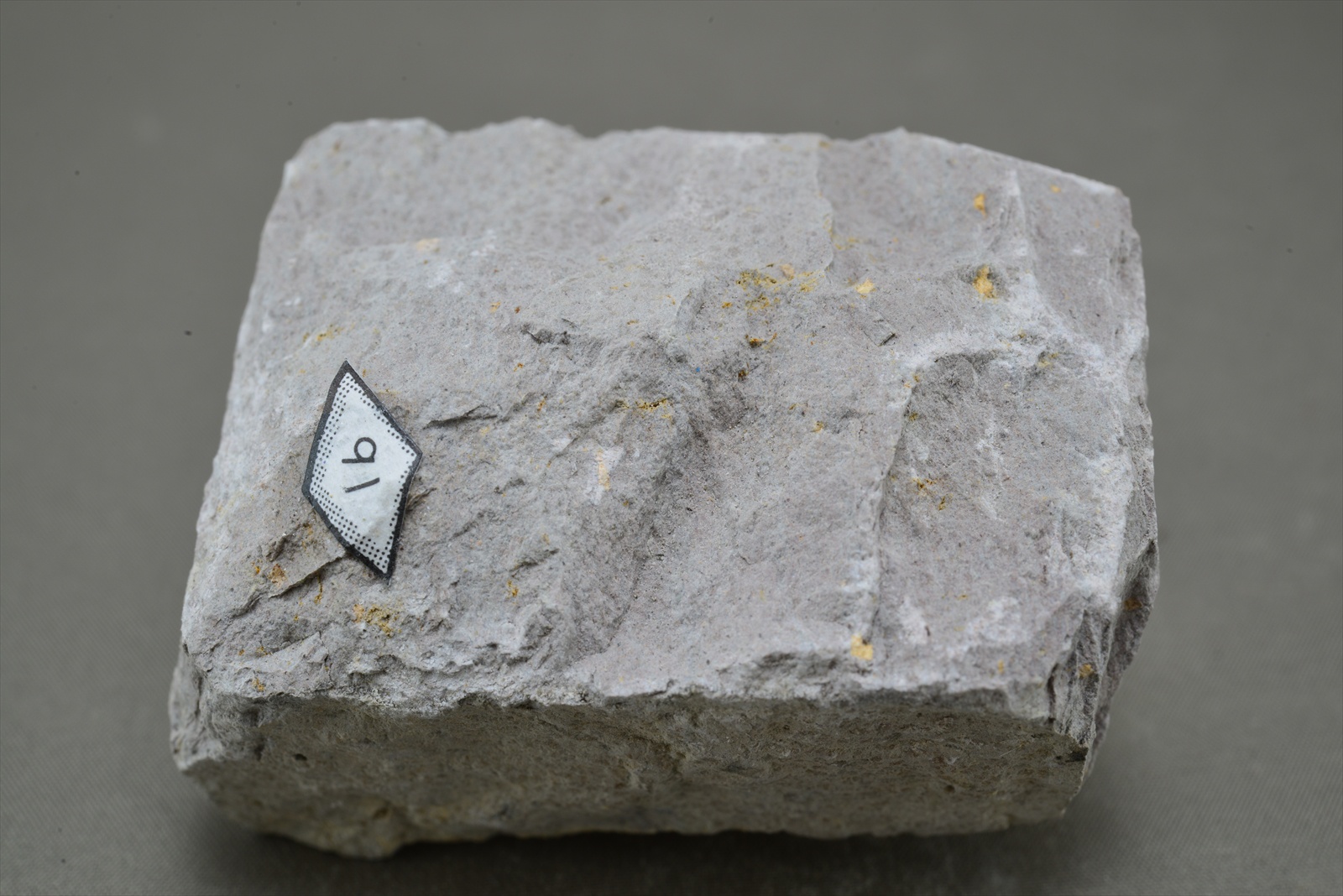 無斑晶粗面安山岩(Apphyric trachyandesite)