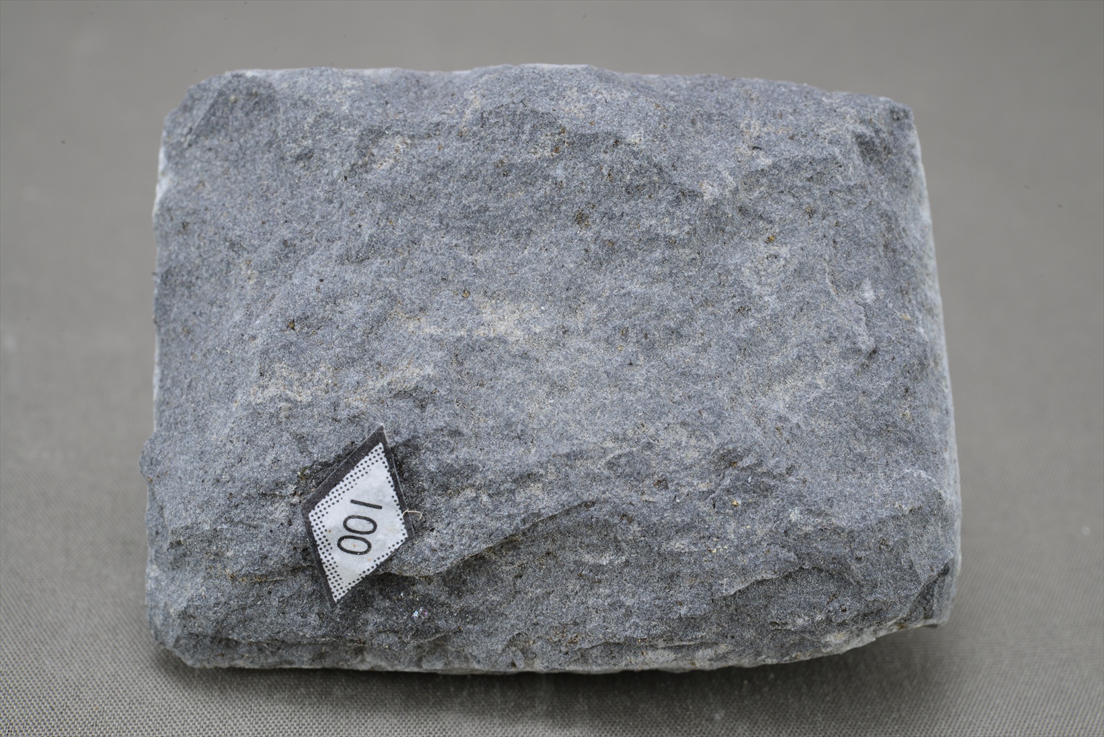 アルカリ橄欖石玄武岩(Alkali olivine basalt)