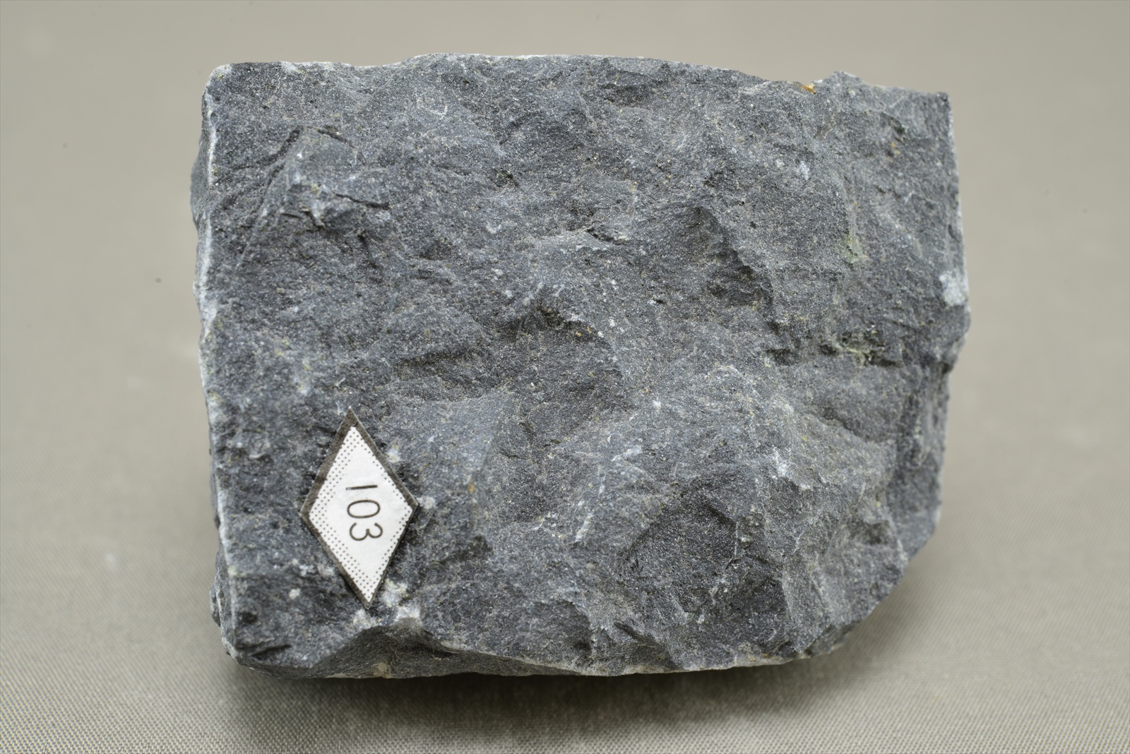 普通輝石橄欖石ベイサニトイド(Augite-olivine basanitoid)