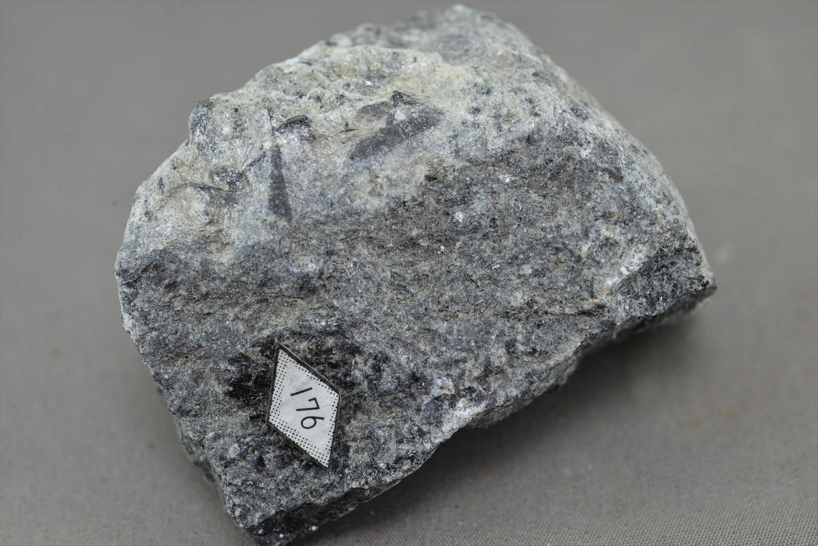 札幌地質探究部（岩石や鉱物が創りだす芸術世界への旅）