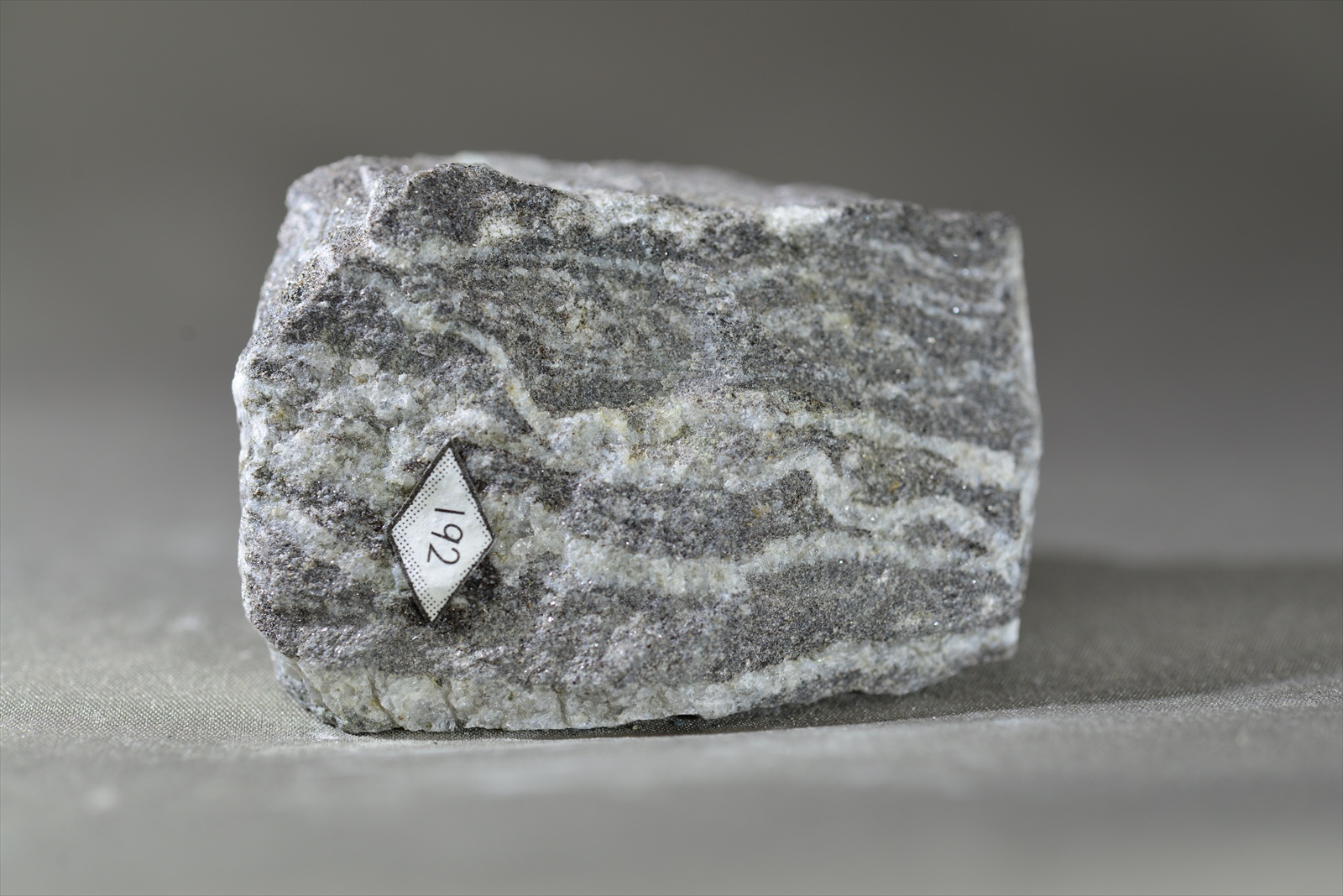 黒雲母片麻岩(縞状片麻岩) Biotite gnesis(Banded gnesis)
