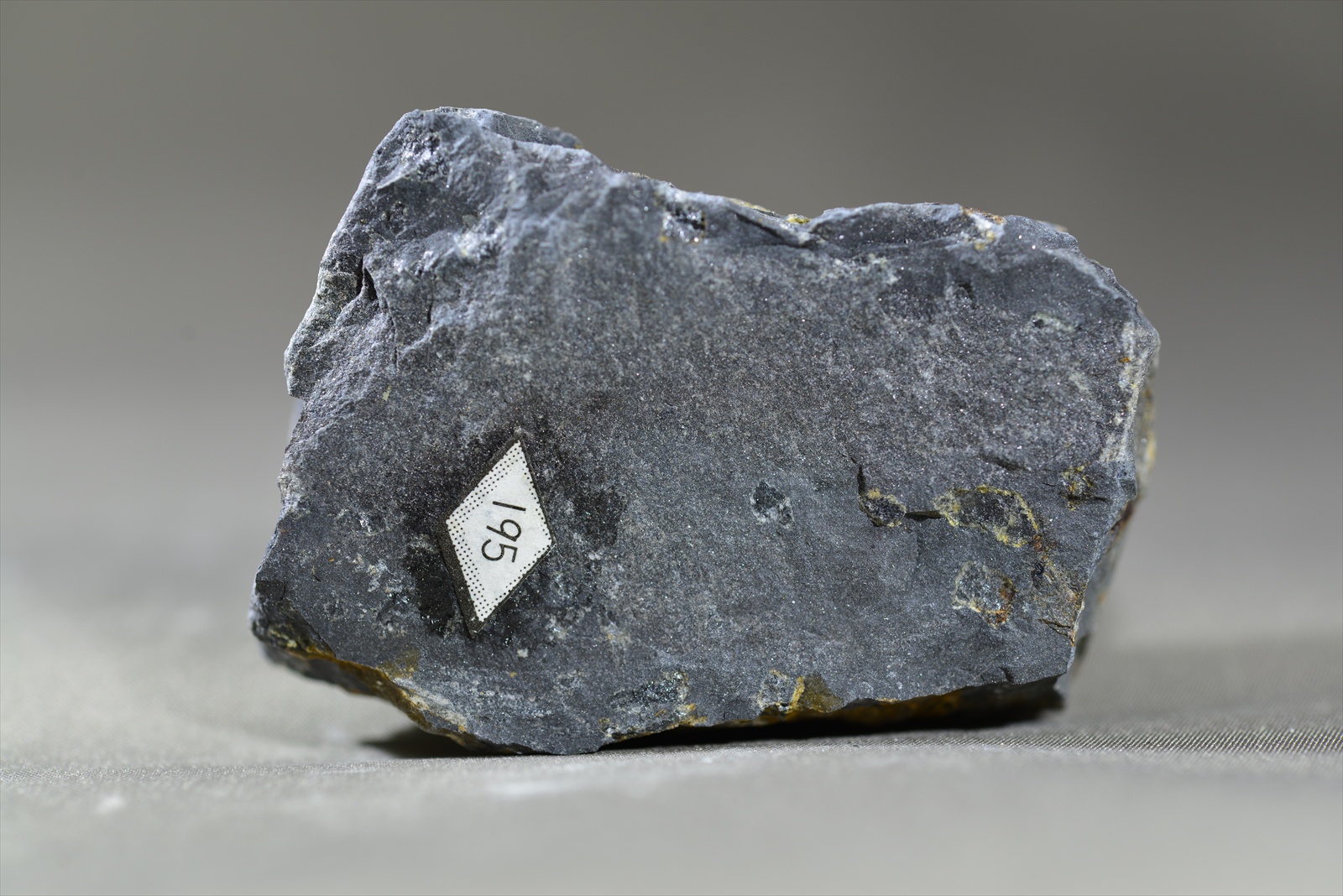 菫青石黒雲母ホルンフェルス(Cordierite-biotite hornfels)