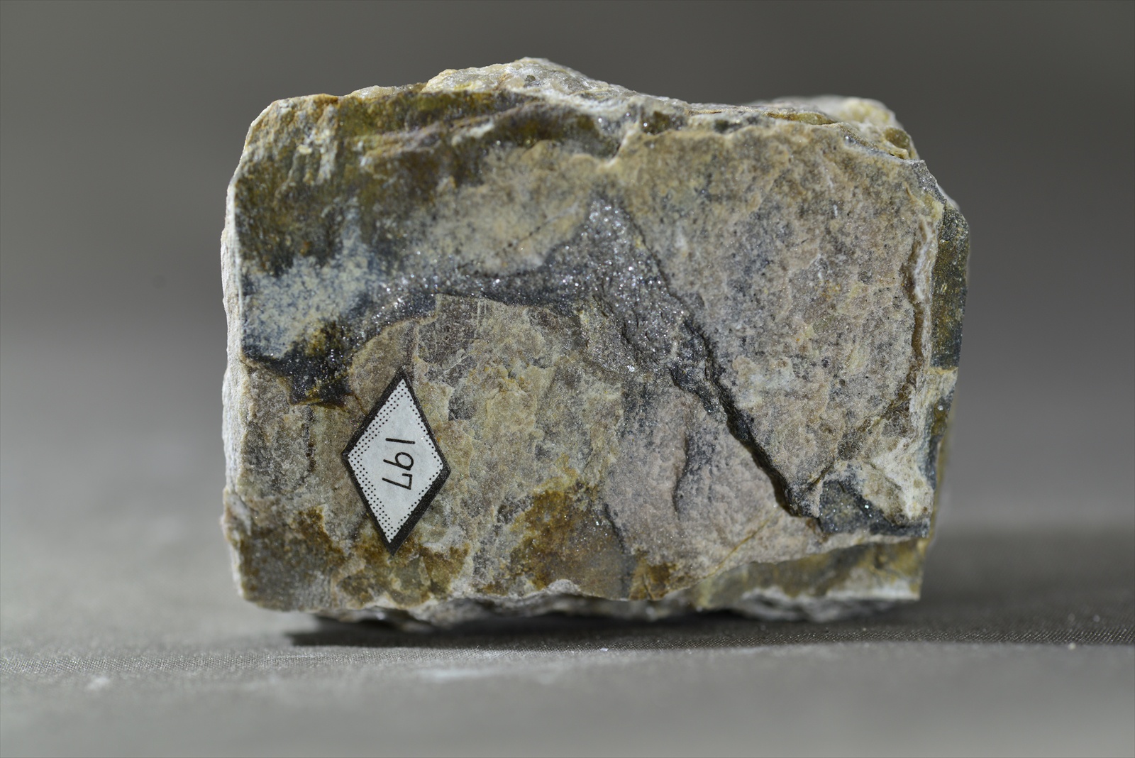 チャートホルンフェルス(珪岩) Chert hornfels(Quartzite)