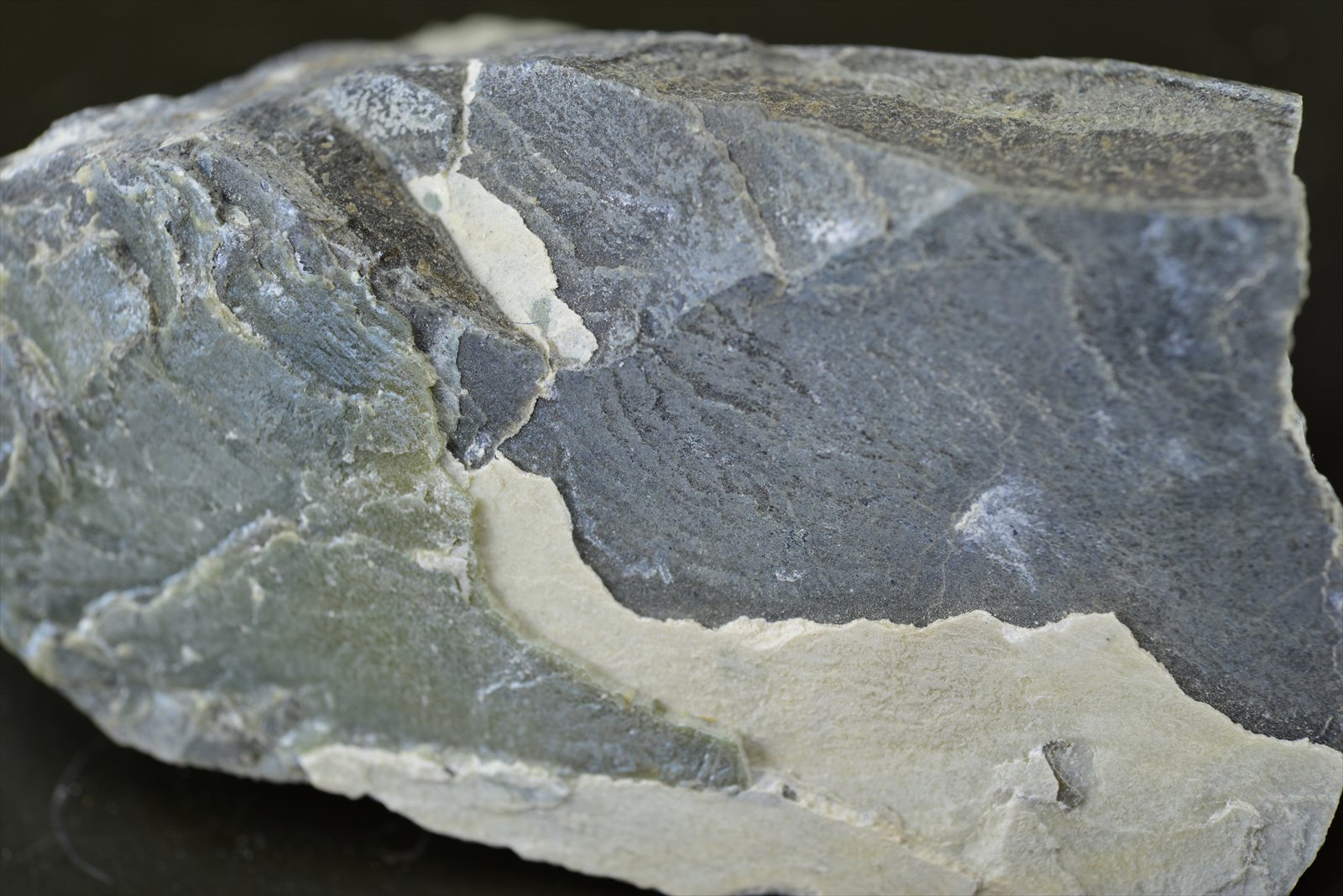 札幌地質探究部（岩石や鉱物が創りだす芸術世界への旅）